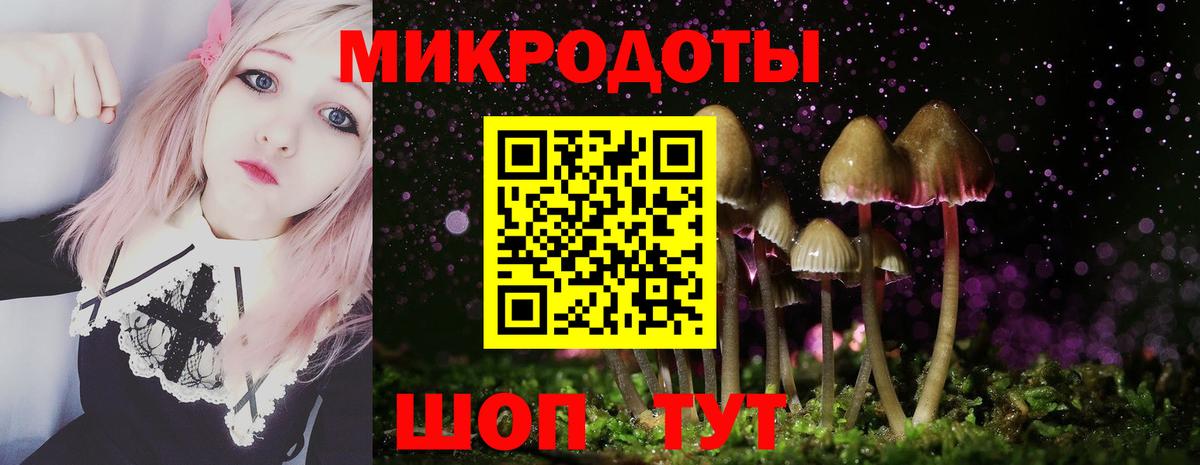 сколько стоит  Псилоцибиновые грибы MAGIC MUSHROOMS  Электросталь  Вход с VPN  Галлюциногенные грибы Cubensis 